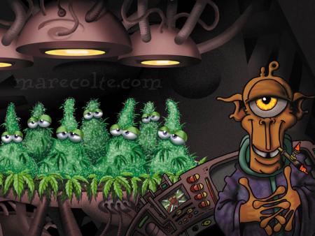 CannAlien